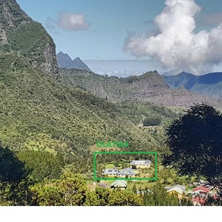Olatika - Gite Des Cascades Cilaos Dış mekan fotoğraf