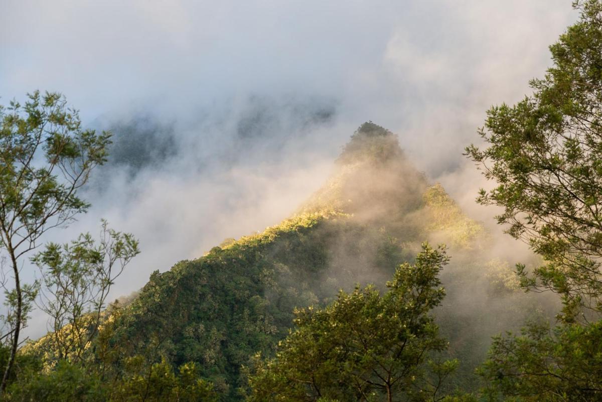 Olatika - Gite Des Cascades Cilaos Dış mekan fotoğraf
