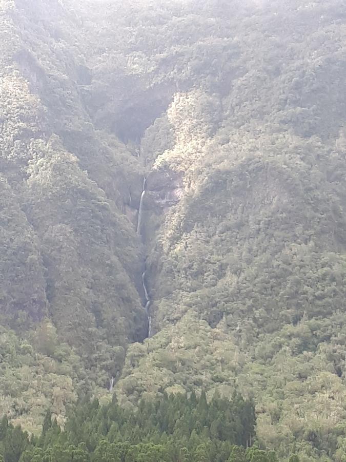 Olatika - Gite Des Cascades Cilaos Dış mekan fotoğraf
